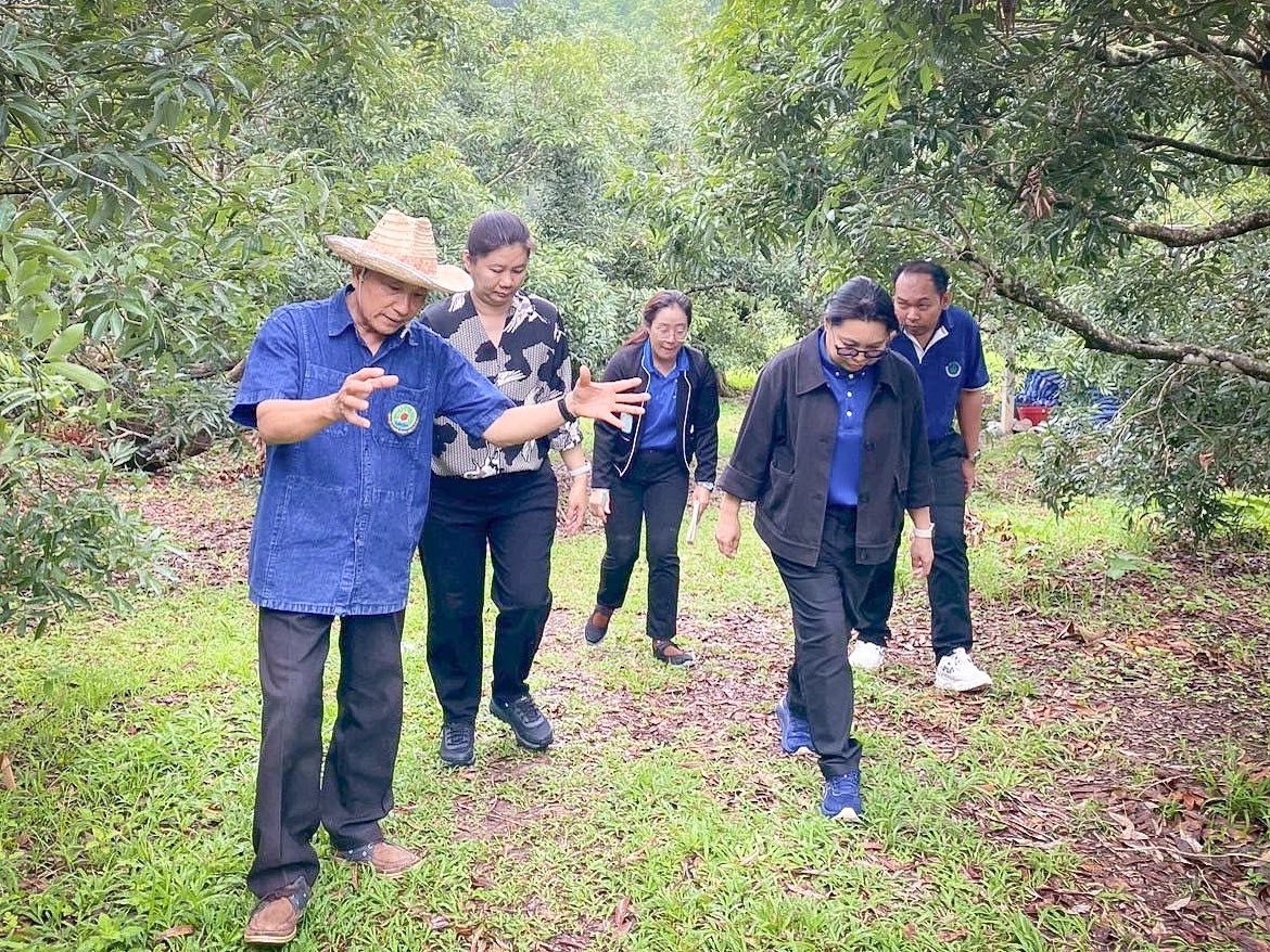 มกอช. จัดการฝึกอบรมเชิงปฏิบัติการการนำเอกสารระบบคุณภาพสำหรับสถานประกอบการตามมาตรฐาน GMP เรื่อง การปฏิบัติที่ดีสำหรับโรงรวบรวมผักและผลไม้สด (มกษ.9047-2560) และมาตรฐานอื่นที่เกี่ยวข้อง ณ สำนักงานเกษตรอำเภอแม่ใจ วิสาหกิจชุมชกลุ่มนอนุรักษ์ลิ้นจี่คุณภาพห้วยป่ากล้วย ที่ทำการแปลงใหญ่ลิ้นจี่หมู่ 7-8 ตำบลศรีถ้อยอำเภอแม่ใจ จังหวัดพะเยา และที่ทำการแปลงใหญ่ลิ้นจี่ตำบลแม่สุก อำเภอแม่ใจ จังหวัดพะเยา